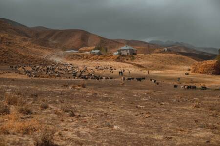 Financial relief for drought stricken farmers in Victoria