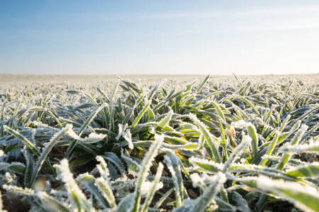 Local MP meets with farmers affected by frost damage