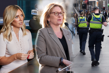 ‘It is a mess’: Jacqui Felgate criticises Jacinta Allan as frustrations escalate with police