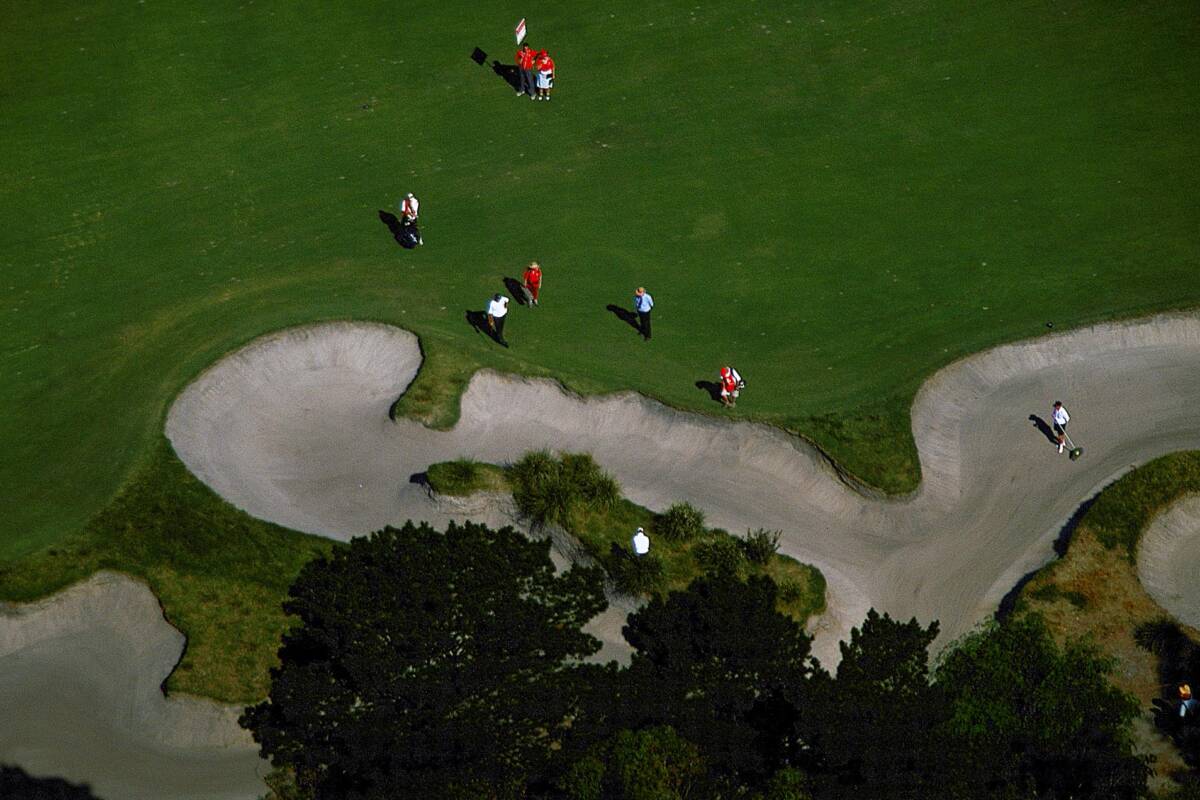 Article image for Golfer makes extraordinary last-minute dash to play Australian Open