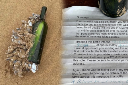 The incredible message in a bottle which washed up on Victorian shore all the way from Brazil!