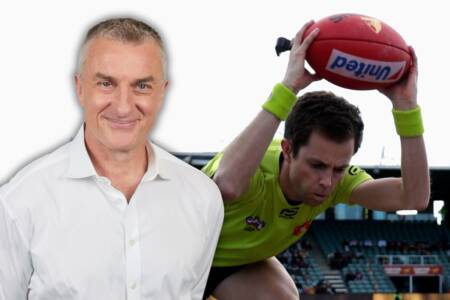 Tom Elliott’s prediction on the future of dress-up parties following AFL umpire suspension