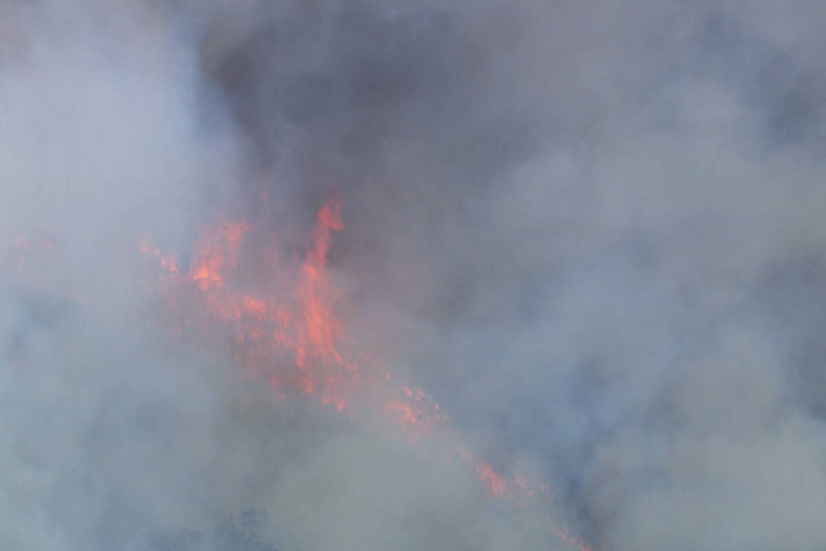 Article image for Communications tower damaged in bushfire as more residents urged to leave now