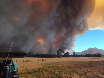 Bushfire ravaged farmers urged to ask for help