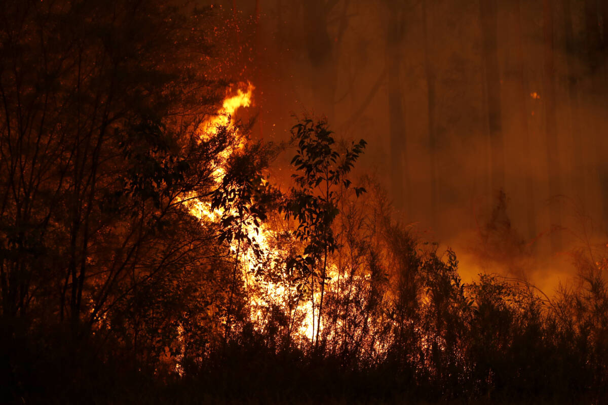 Article image for Residents in regional Victoria beg Allan government to complete construction five years on from devastating bushfires