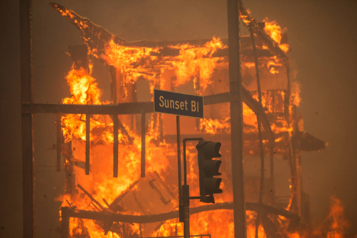 Article image for ‘Lost everything’: Australian’s devastating personal account of Los Angeles fire disaster