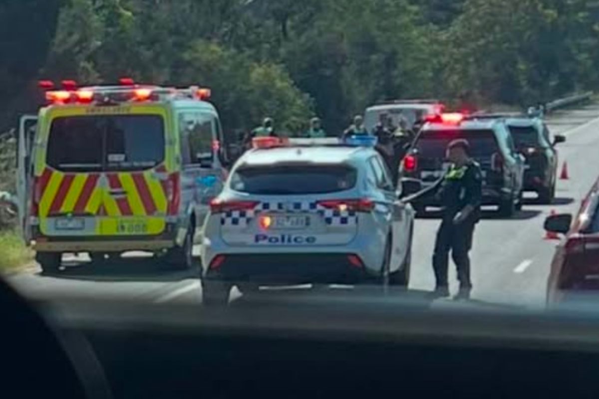 Article image for Six teenagers arrested after multi-vehicle crash on the Monash Freeway