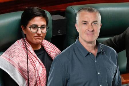 The move from Greens MP Gabrielle de Vietri which Tom Elliott found ‘extraordinary’