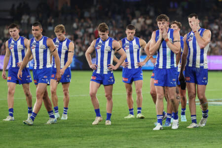 Matthew Lloyd’s frank analysis on the players North have paid ‘way too much’ for
