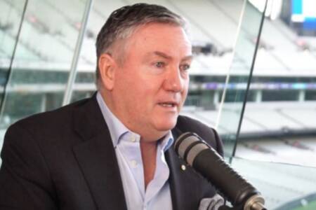 Who Eddie McGuire thinks should be the next chairman of the AFL