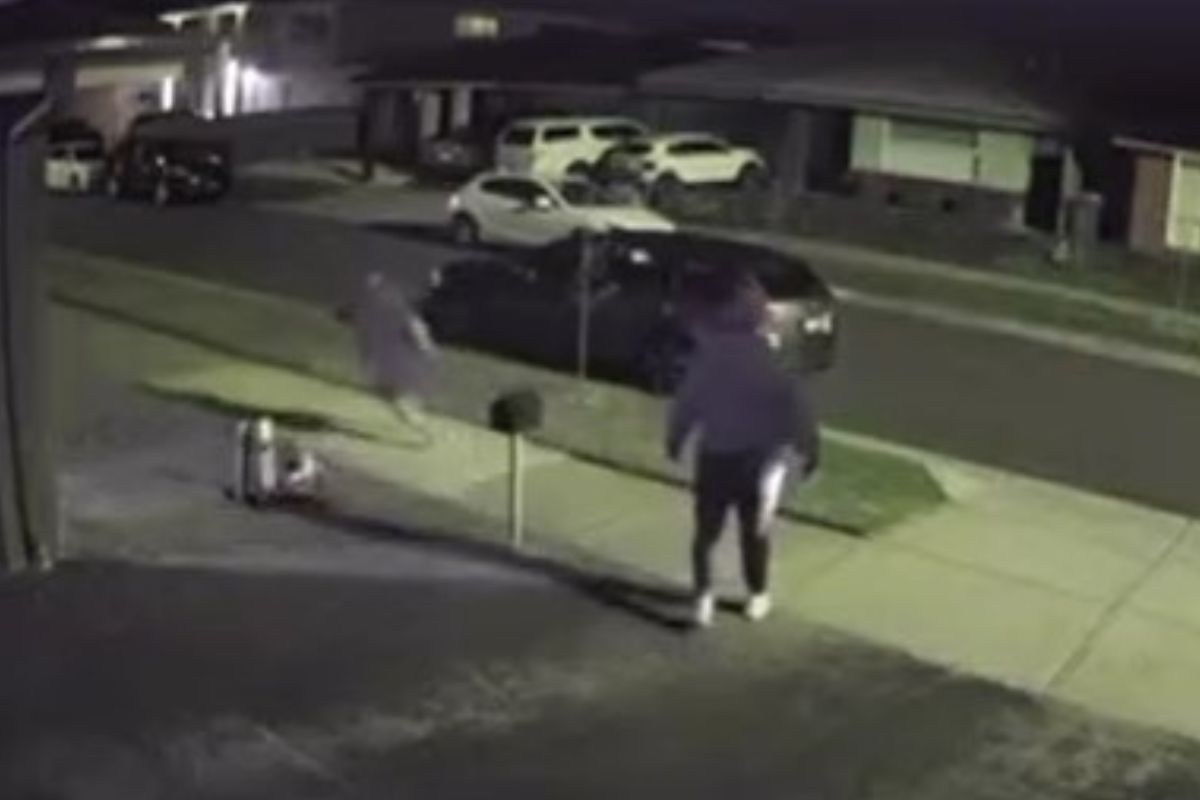 Article image for ‘Nightie ninja’ takes matters into her own hands to scare off home invaders