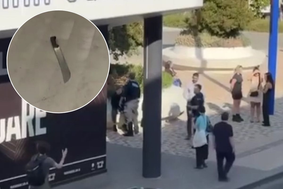 Article image for Reality TV personality performs dramatic citizen’s arrest in Prahran