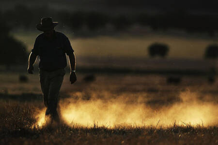 Farmers urged to register for support